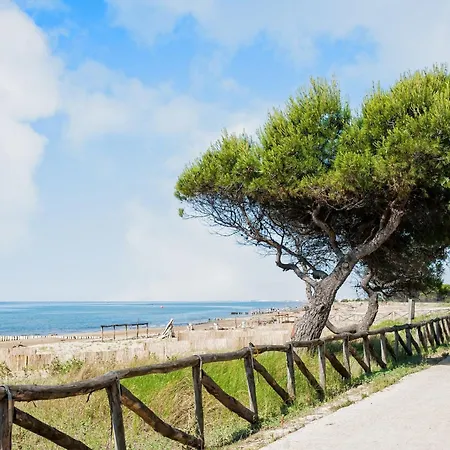 Great Flat Close To The Sea
